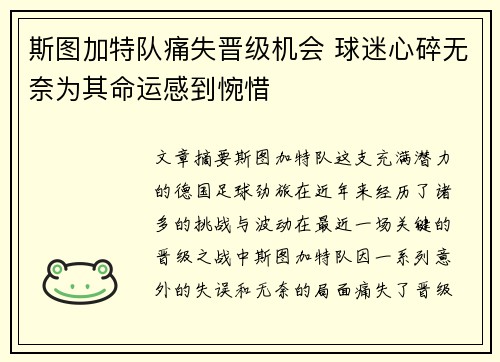 斯图加特队痛失晋级机会 球迷心碎无奈为其命运感到惋惜