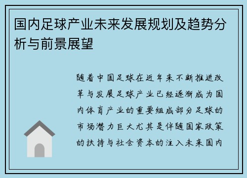 国内足球产业未来发展规划及趋势分析与前景展望